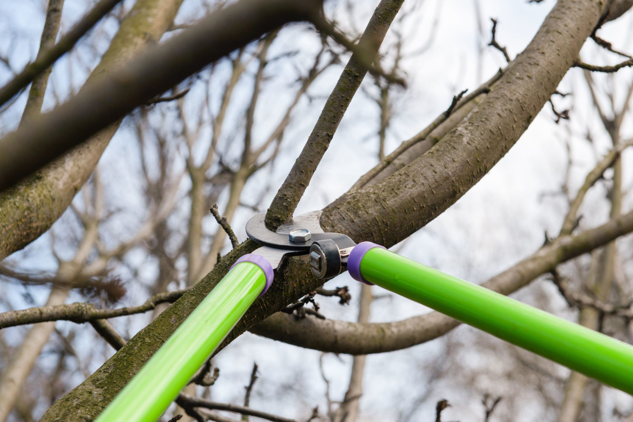 Proper Tree Pruning Techniques